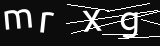 verifycode